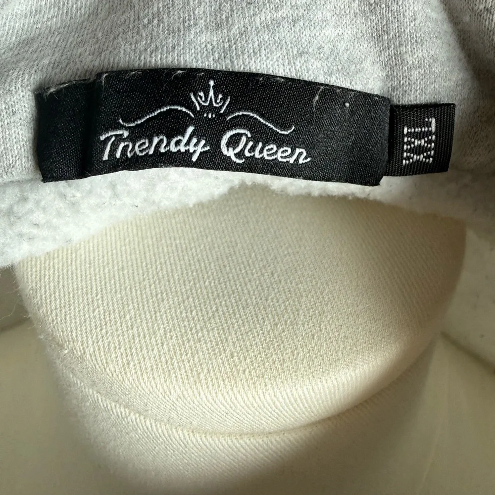 Trendy Queen Classic Neutral Basic Cotton Men's Stylish Gray Zip-Up Sweatshirt